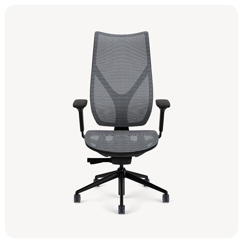 mesh high back with a mesh seat